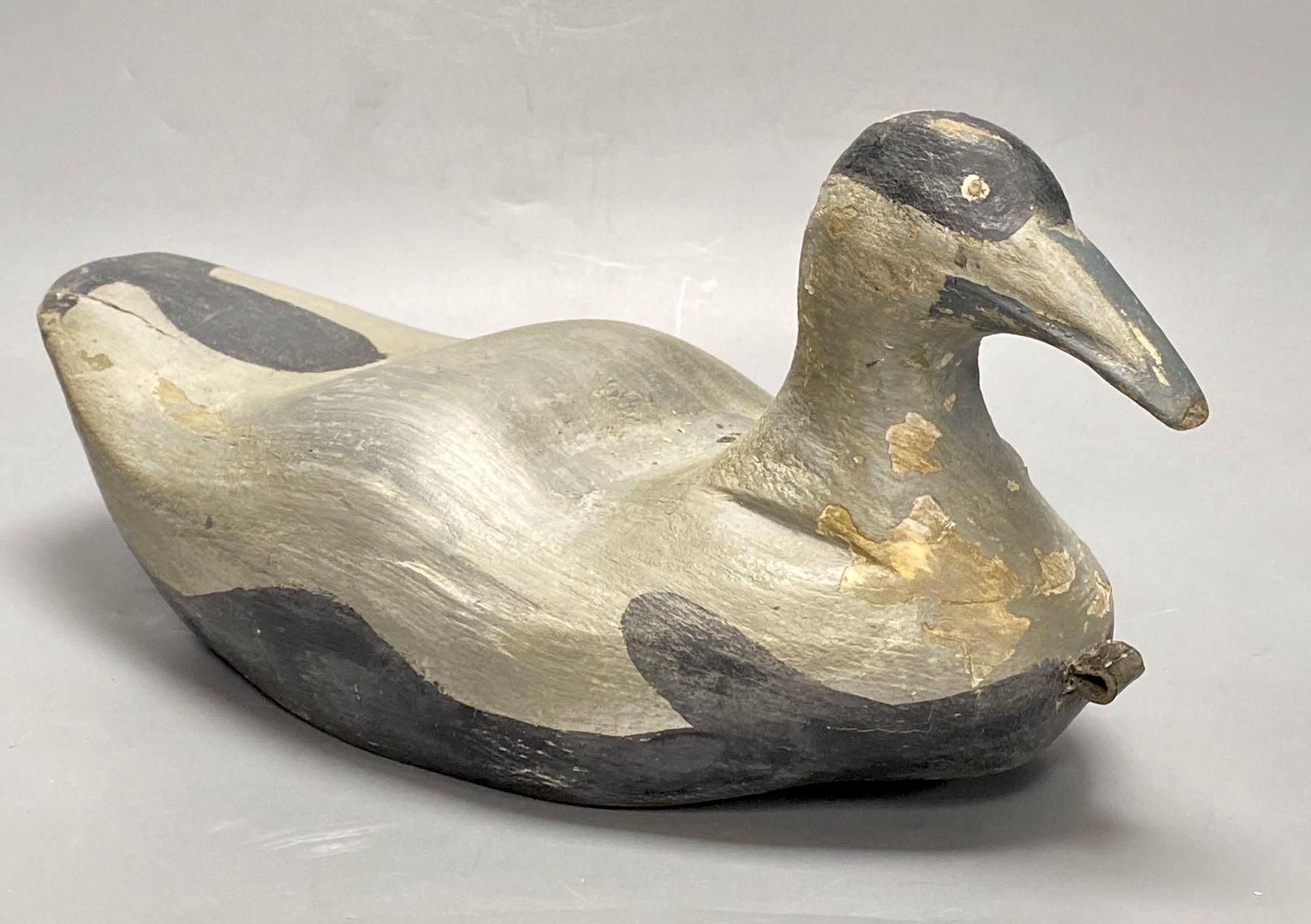 An American Eider decoy duck, length 39cm